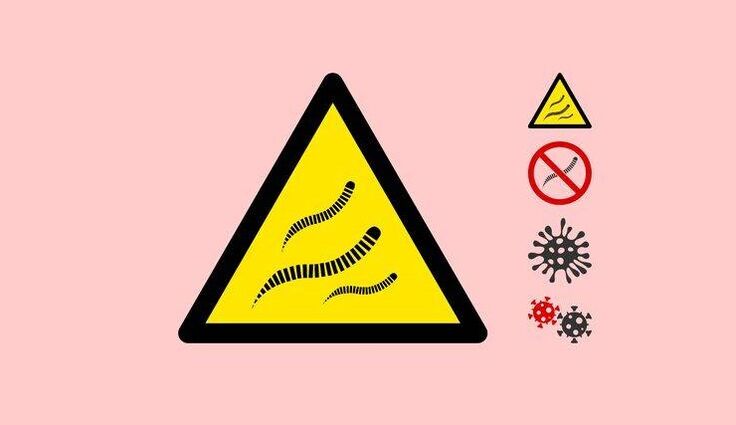 The danger of parasites for the body