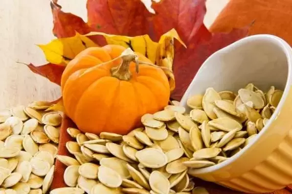 pumpkin seeds for worms